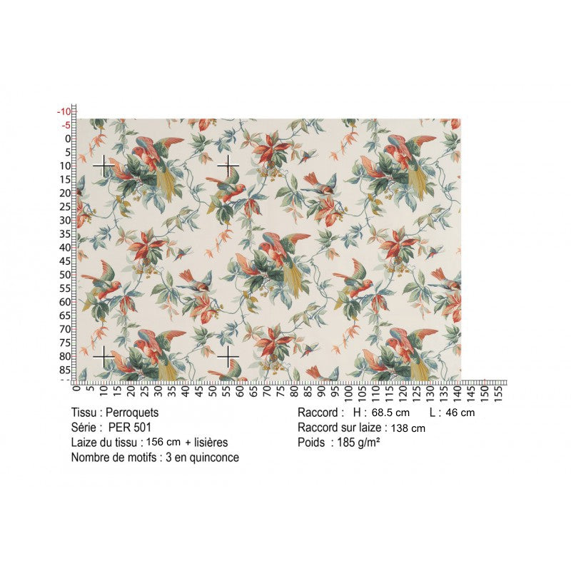 #color_perroquets-SAUGE