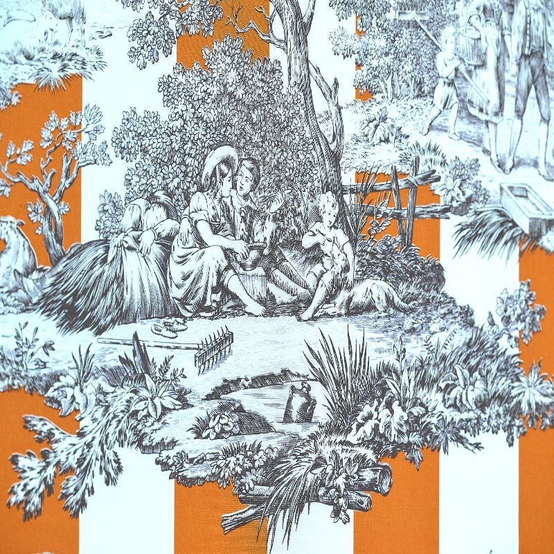 #color_rayure-du-maine-ORANGE