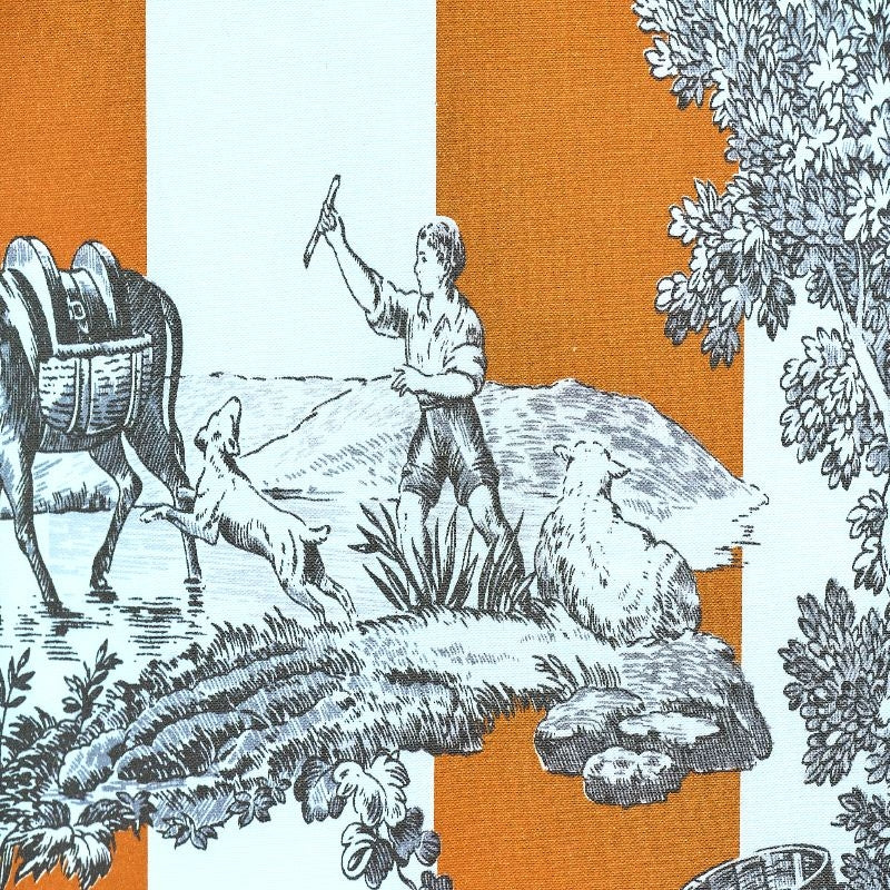 #color_rayure-du-maine-ORANGE