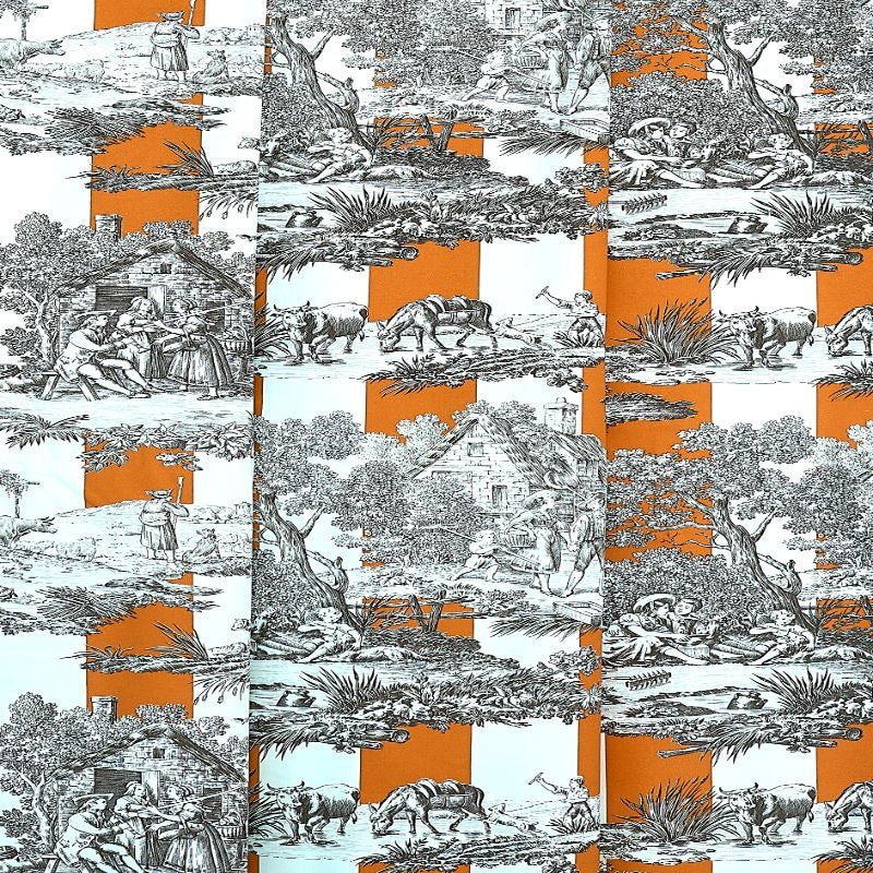 #color_rayure-du-maine-ORANGE