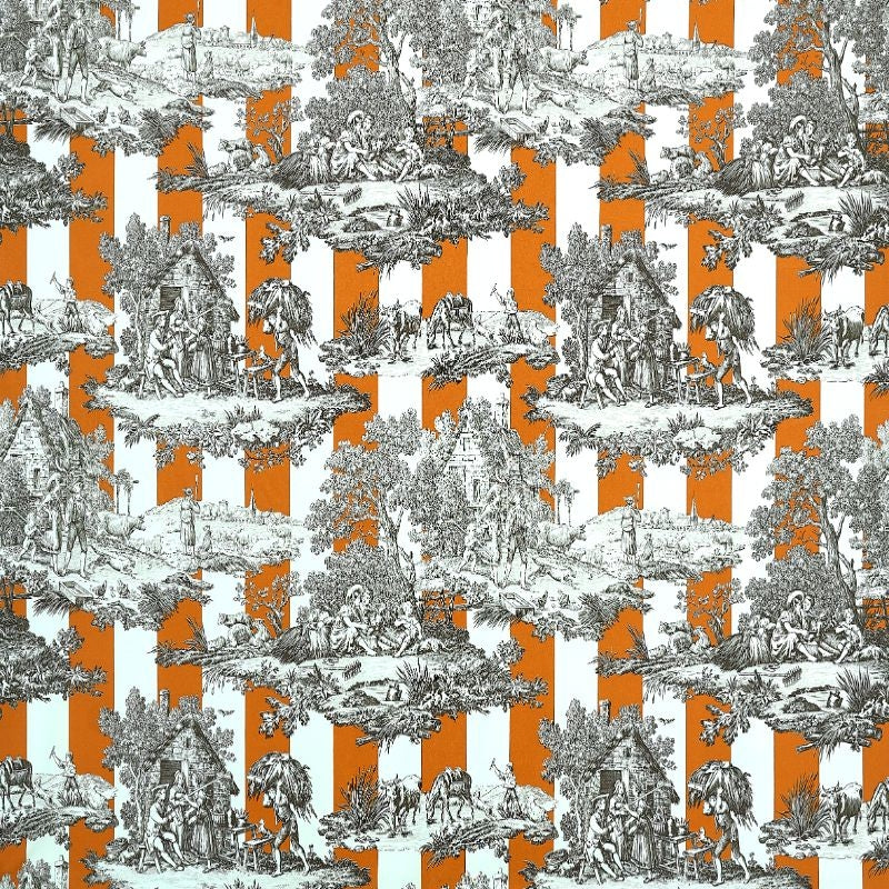 #color_rayure-du-maine-ORANGE