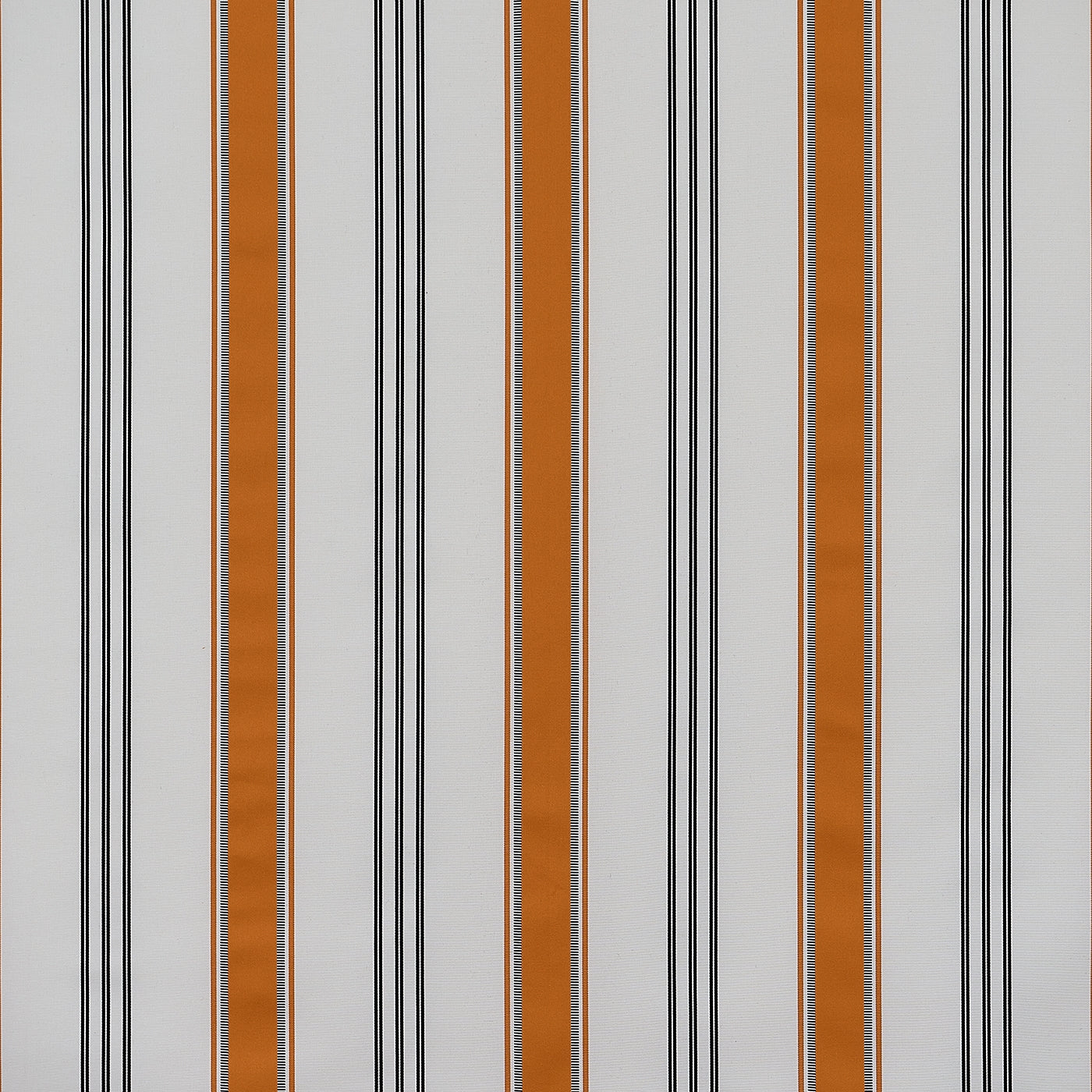 #color_mila-ORANGE