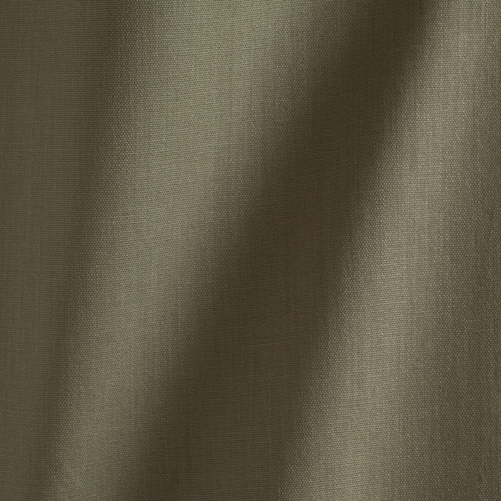 #color_janeiro-LENTILLE