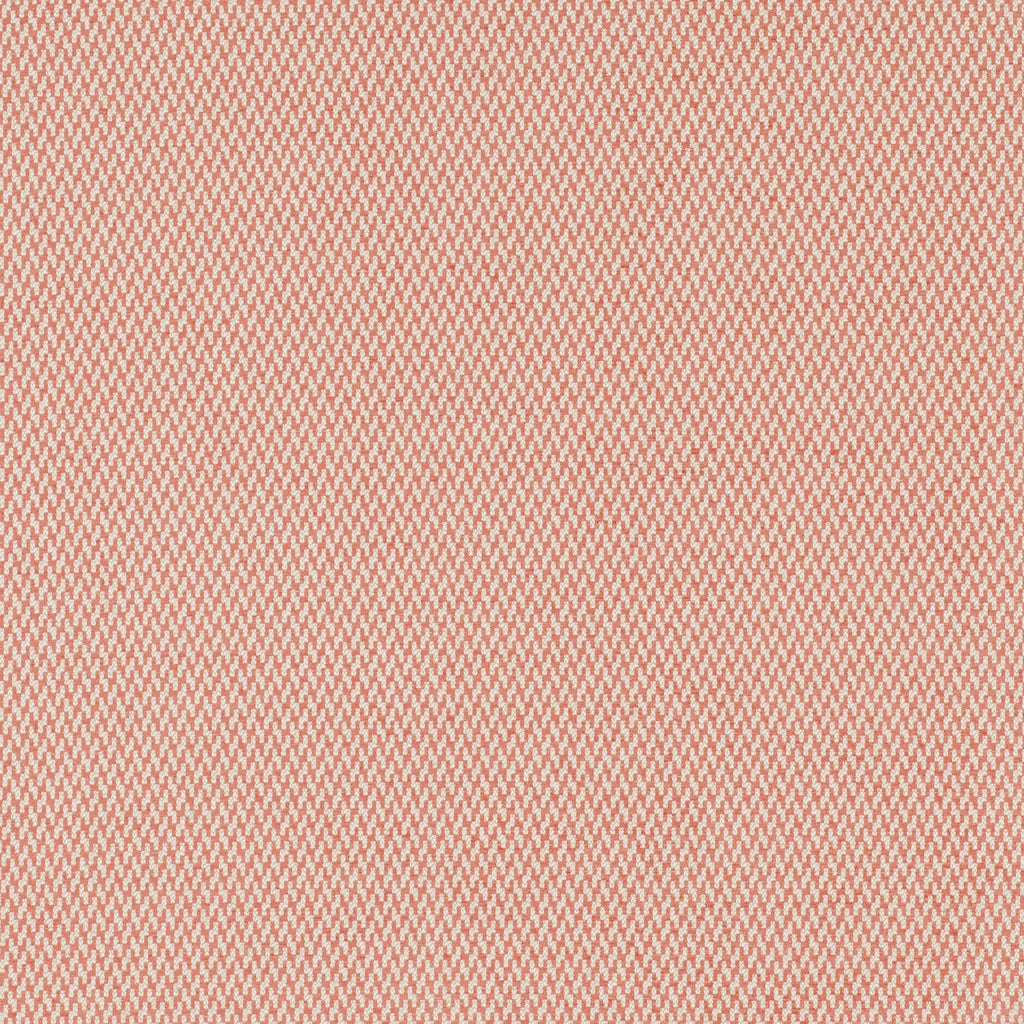 #color_viking-CORAIL