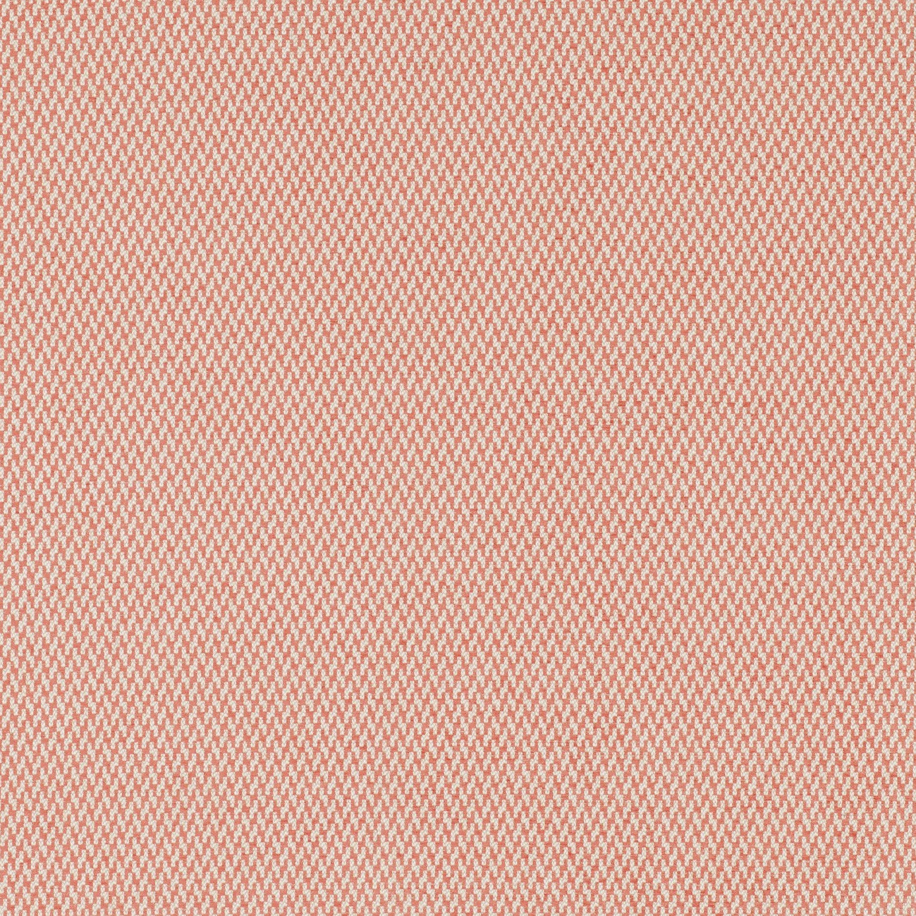 #color_viking-CORAIL