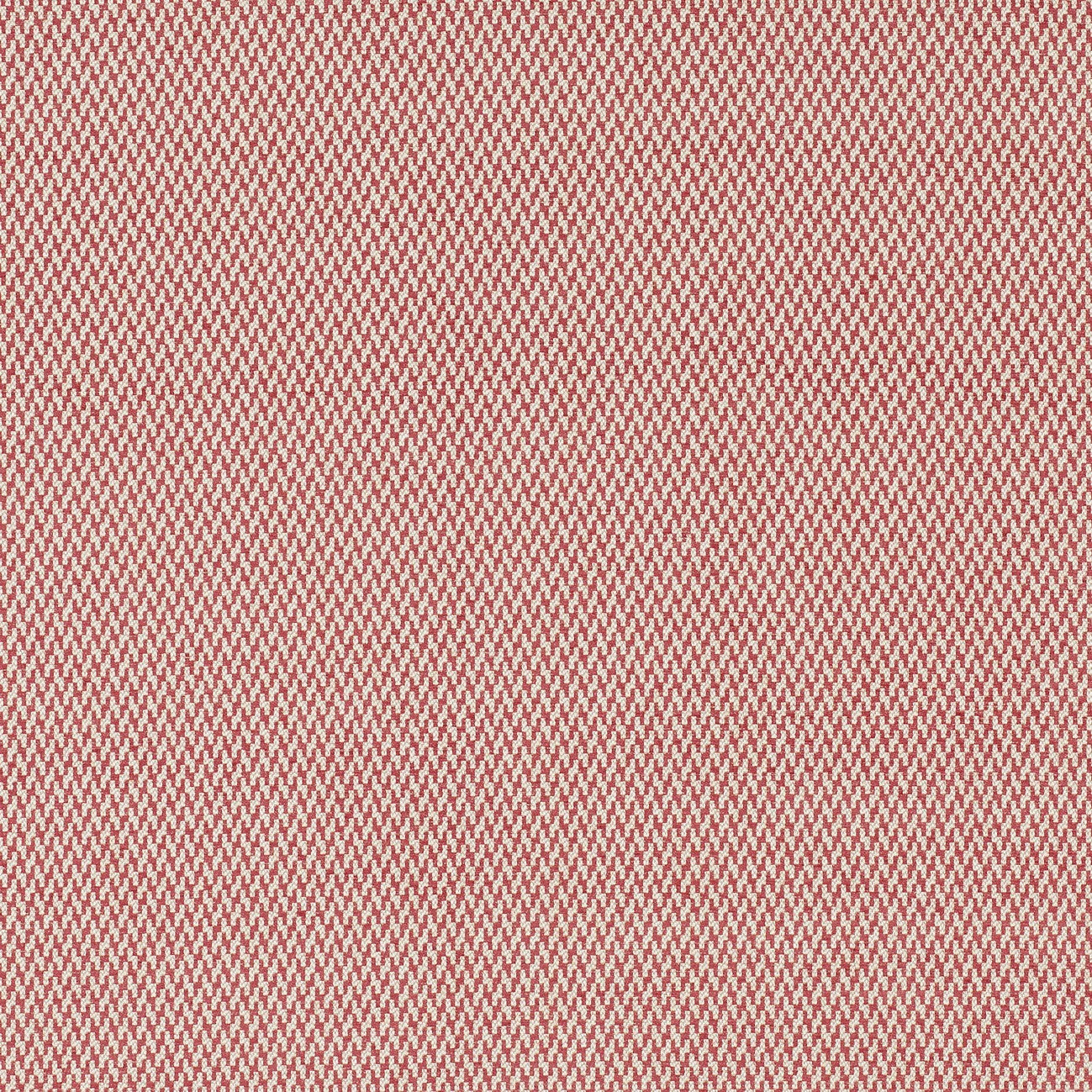 #coloris_rubis