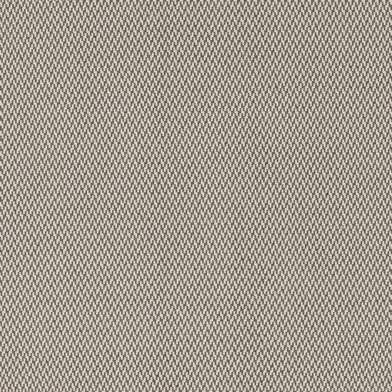 #color_viking-LAGON