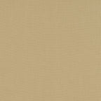 #color_janeiro-LENTILLE