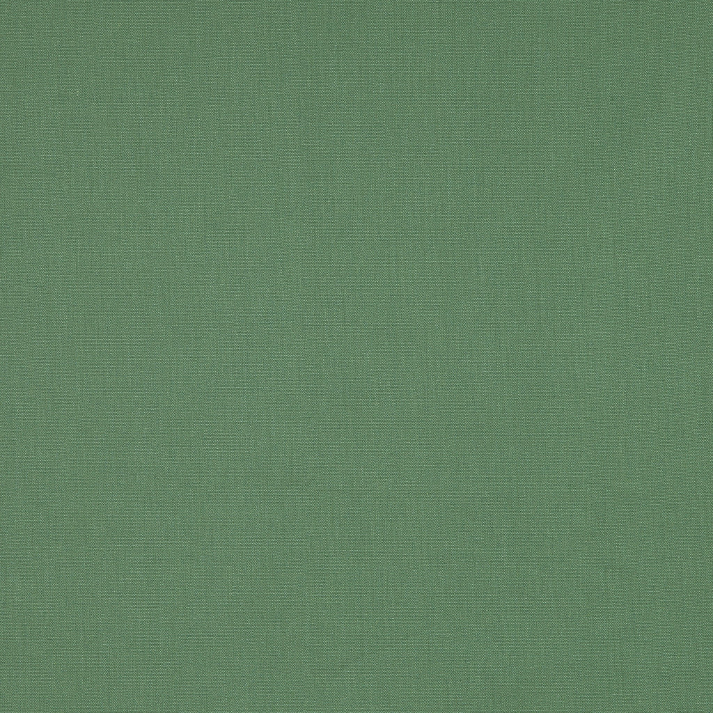 #color_janeiro-CHLOROPHYLLE