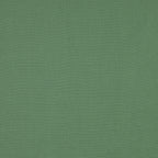 #color_janeiro-CHLOROPHYLLE