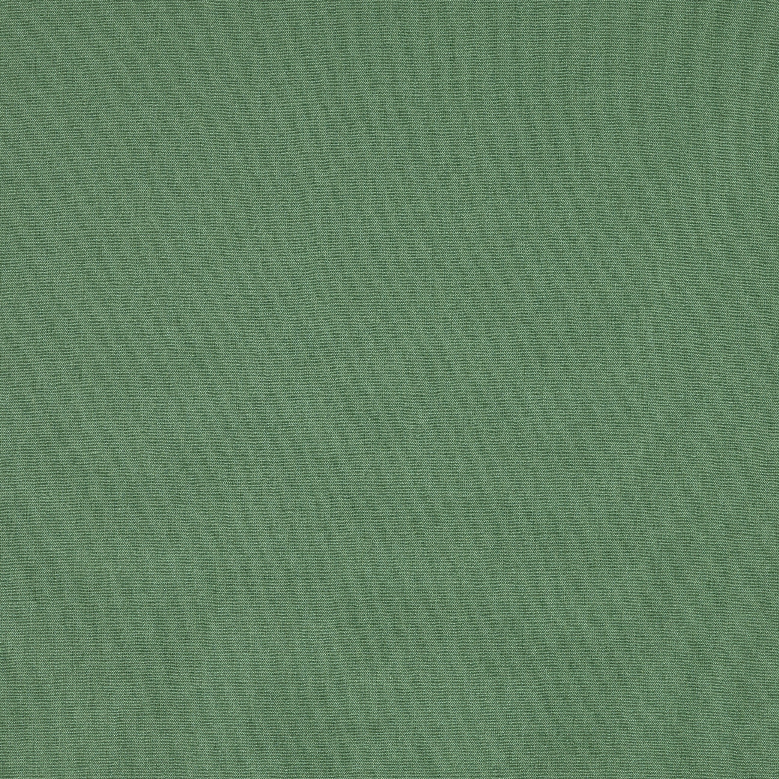 #color_janeiro-CHLOROPHYLLE