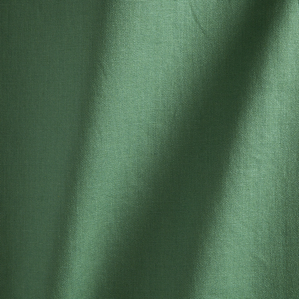 #color_janeiro-CHLOROPHYLLE