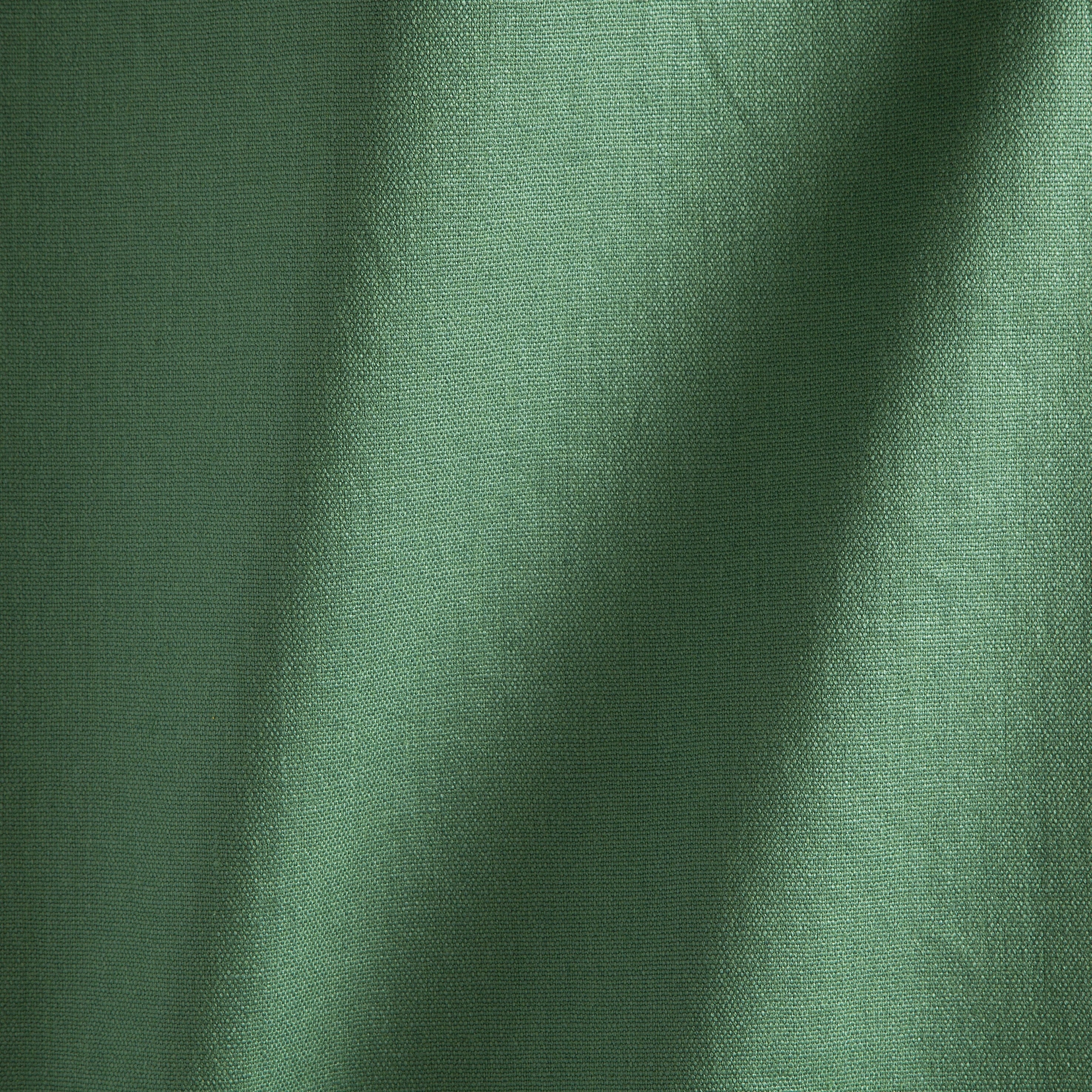 #color_janeiro-CHLOROPHYLLE