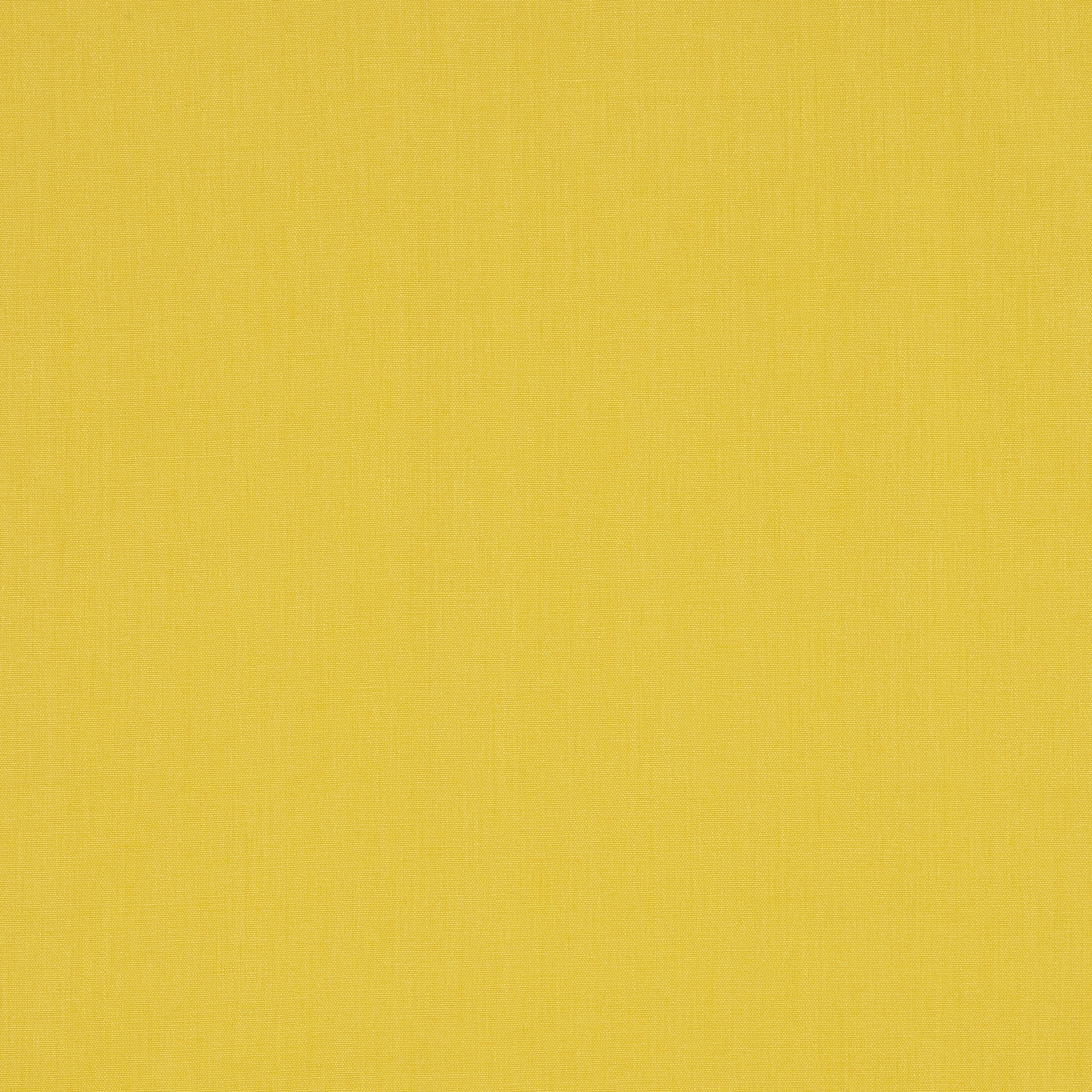 #color_janeiro-TOURNESOL