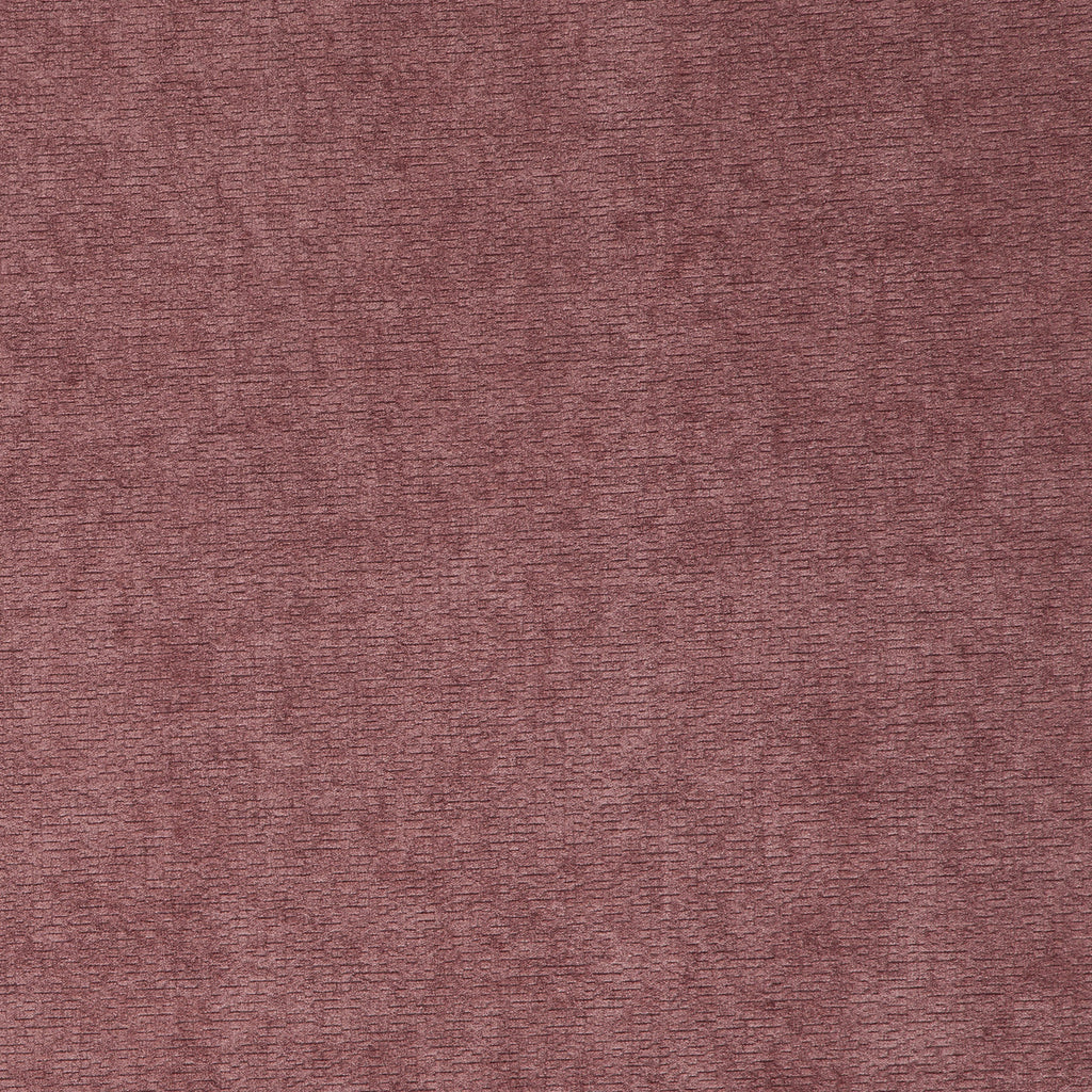 #color_milord-ROSE-ANGLAIS
