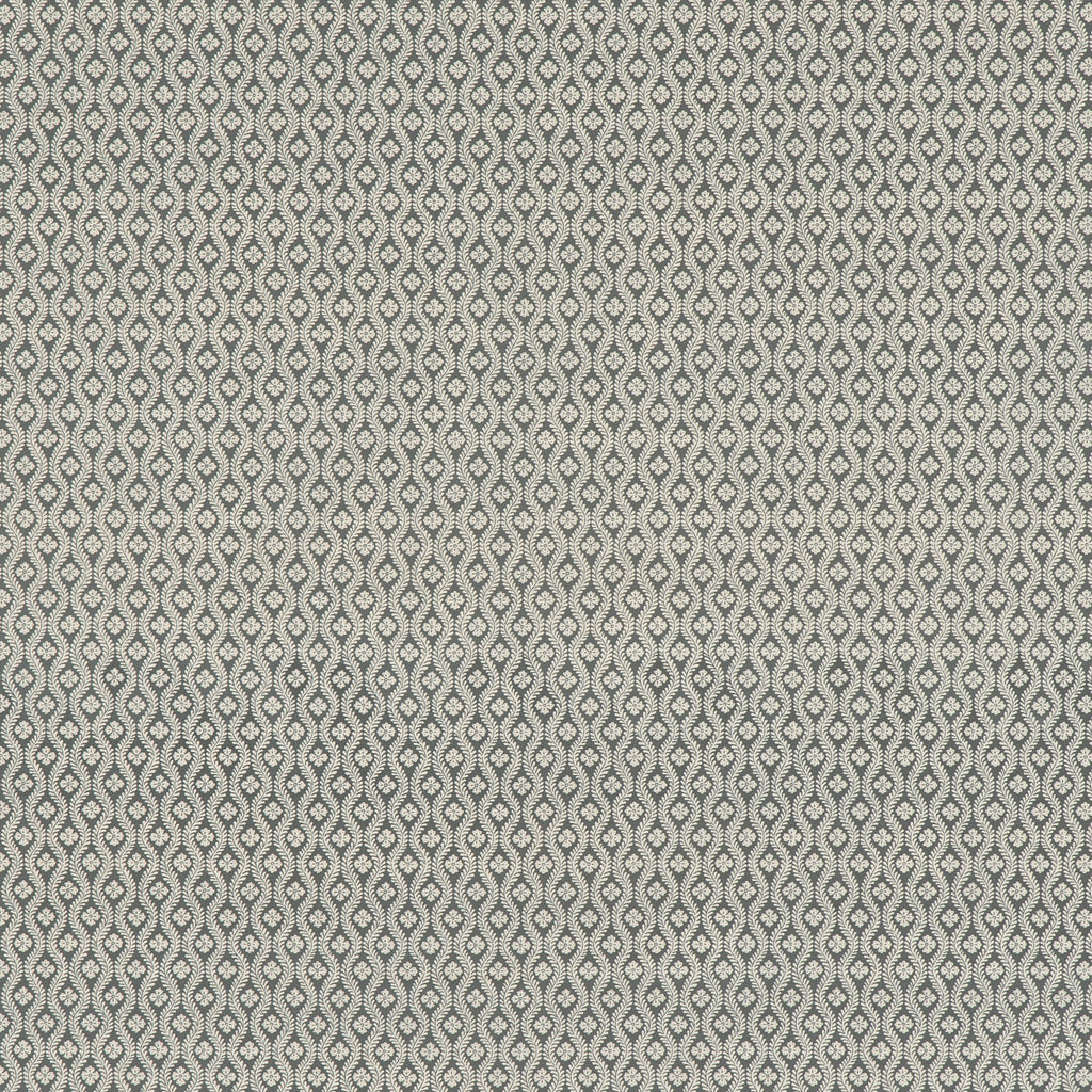 #color_sophia-GRIS-SOURIS
