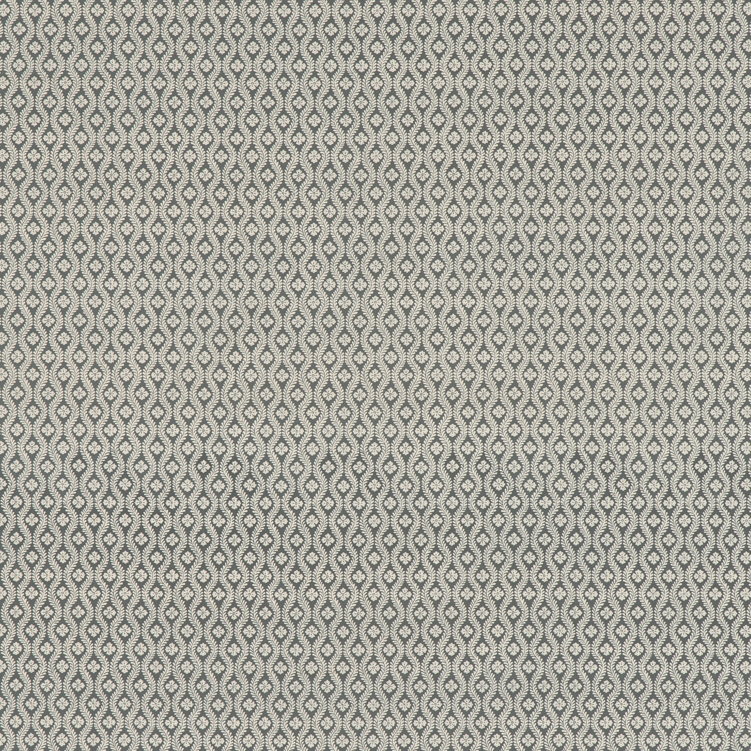 #color_sophia-GRIS-SOURIS