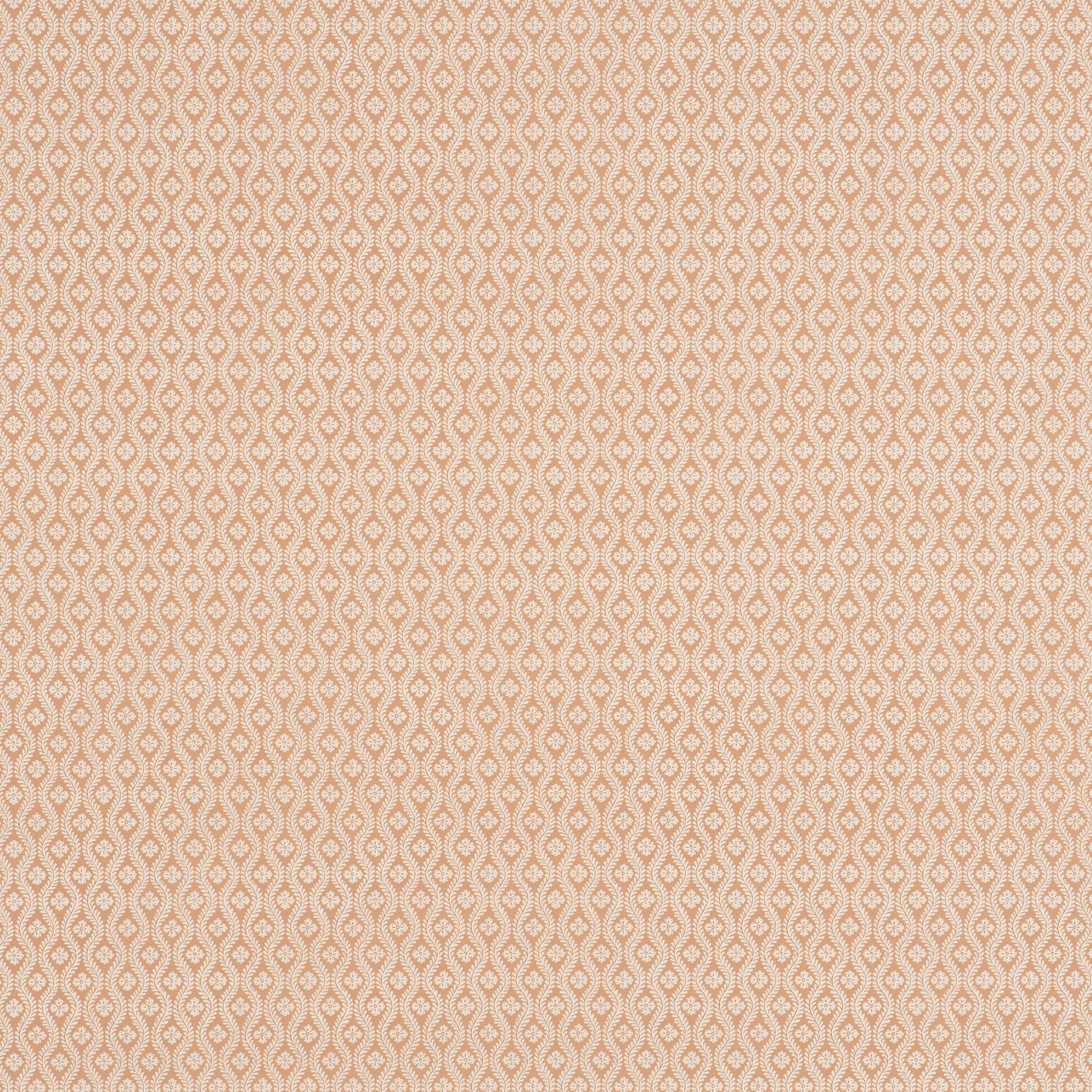 #color_sophia-ROSE-POUDRE