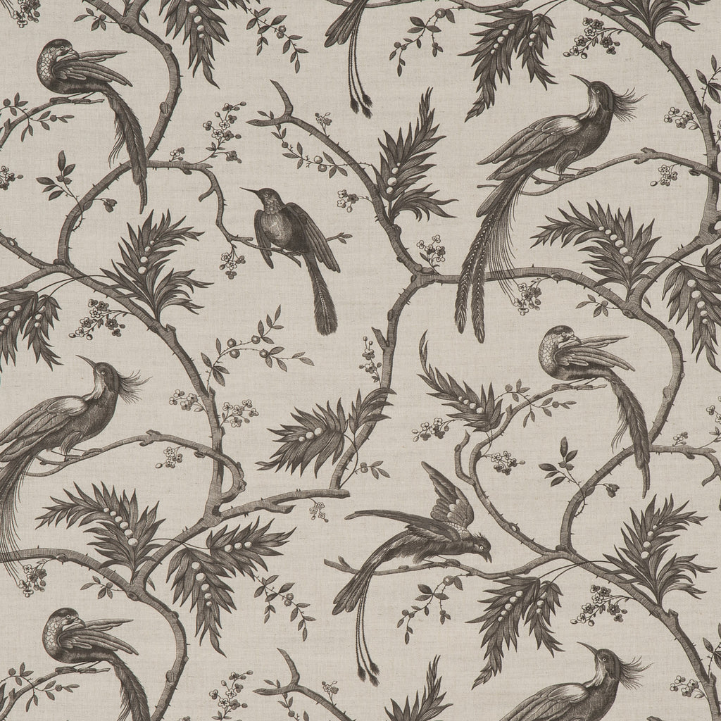 #color_paradise-PAIN-BRULE