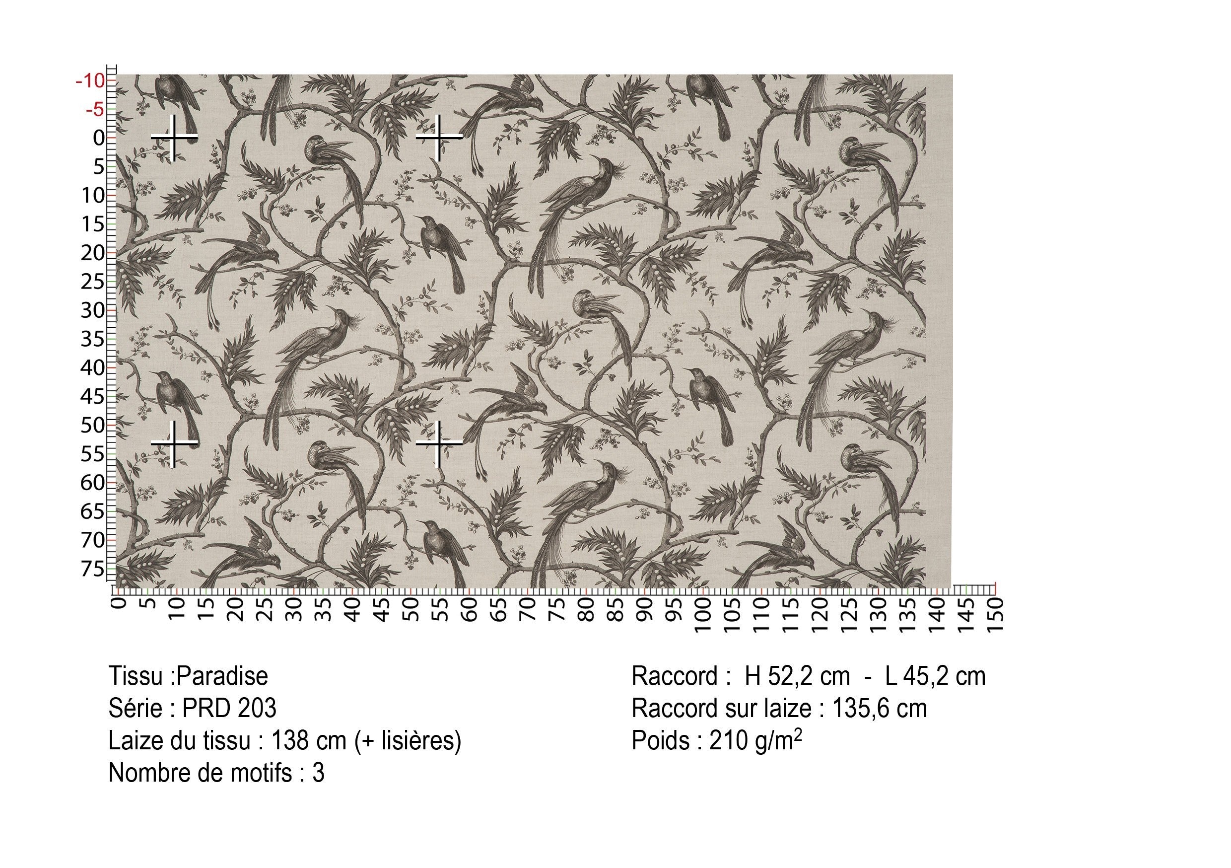 #color_paradise-PAIN-BRULE