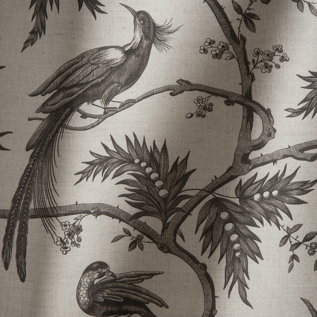 #color_paradise-PAIN-BRULE