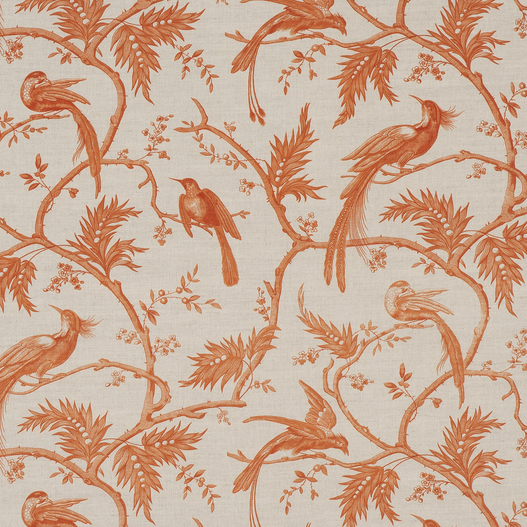 #color_paradise-ORANGE