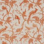 #color_paradise-ORANGE