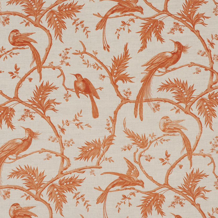 PARADISE – coloris Orange