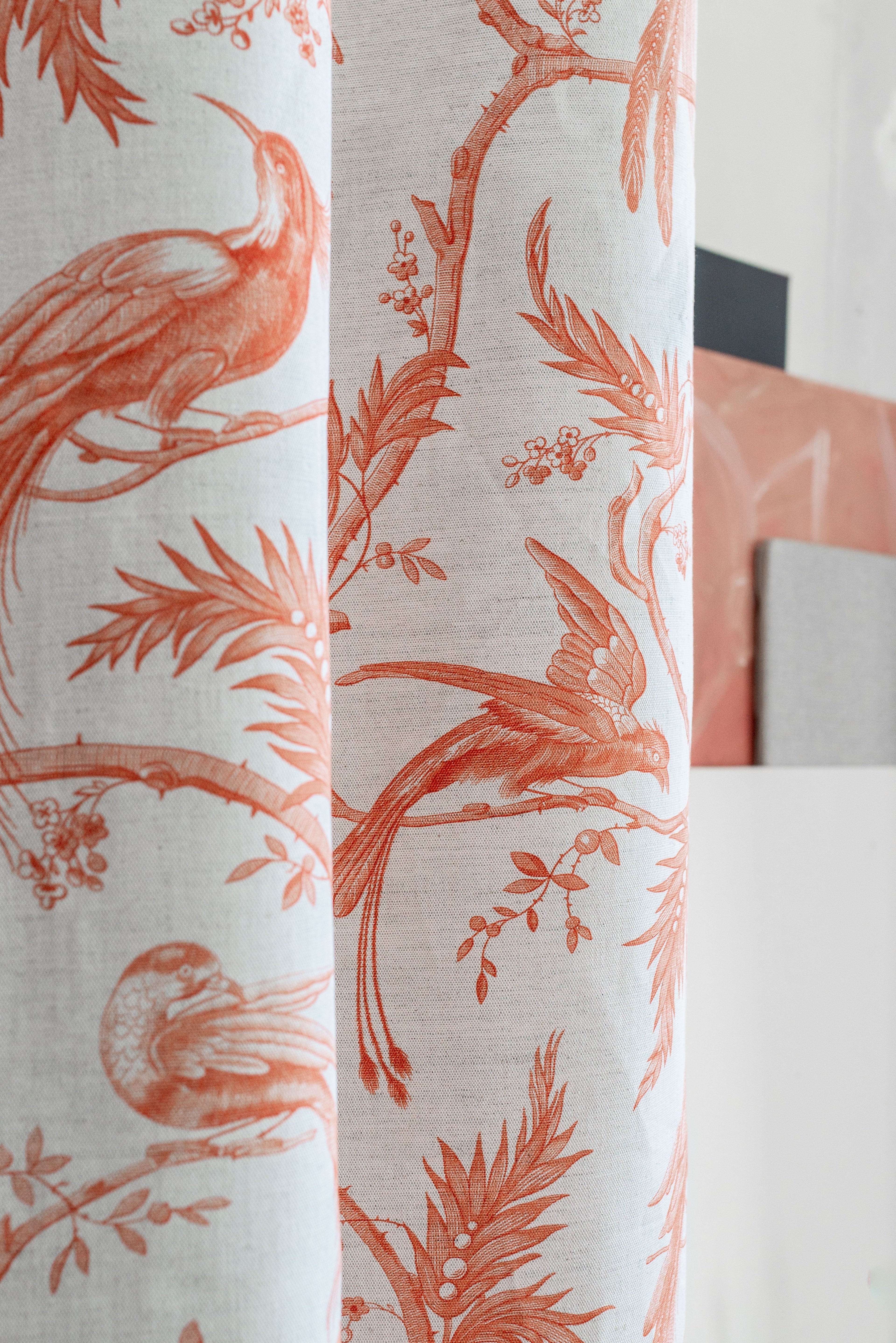 #color_rideau-paradise-orange