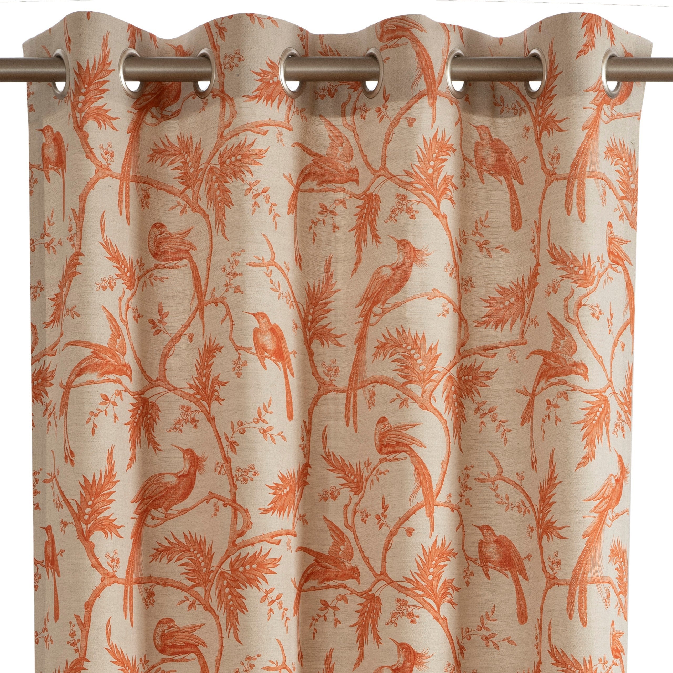 #color_rideau-paradise-orange