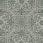 #color_lonicera-VERT_SAULE