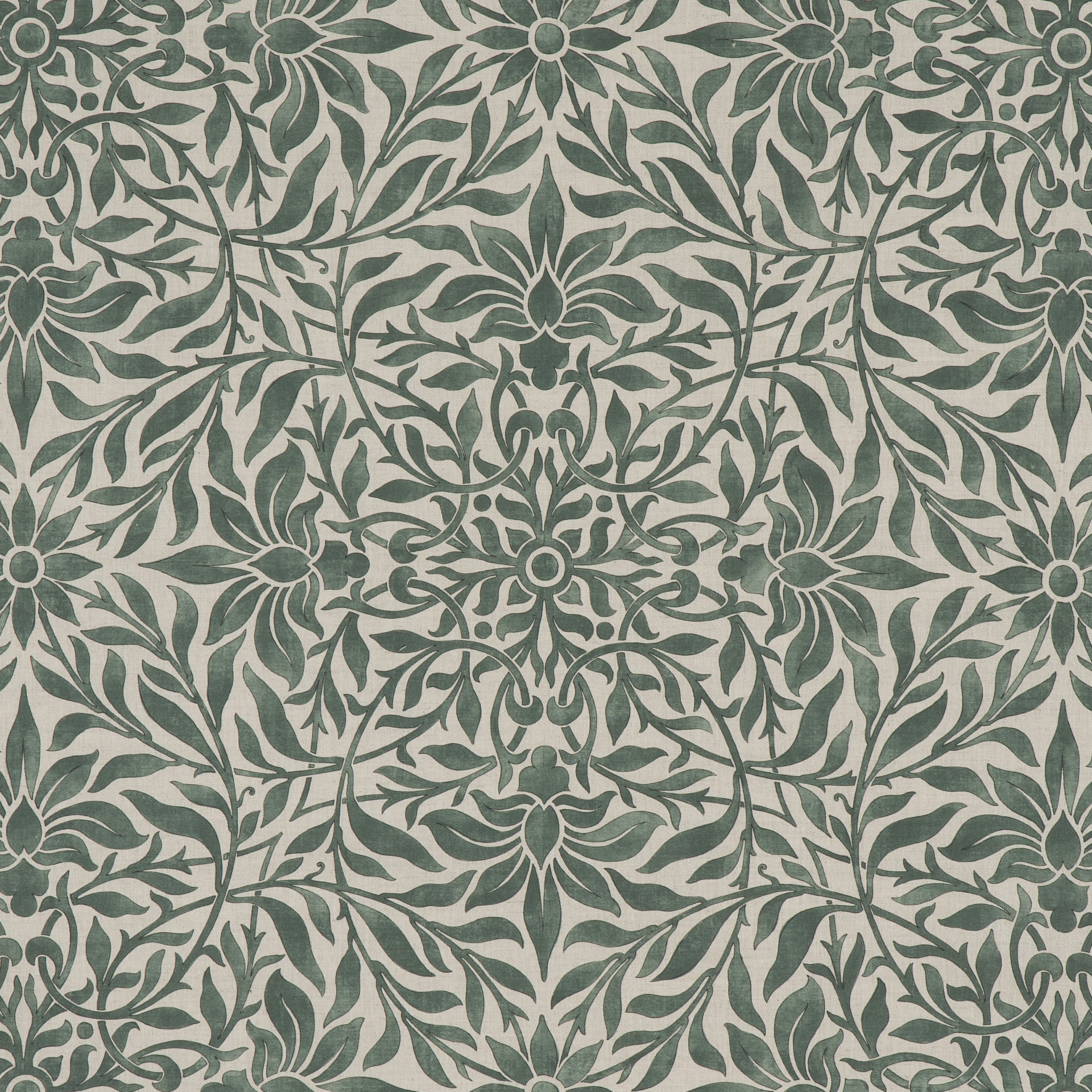 #color_lonicera-VERT_SAULE