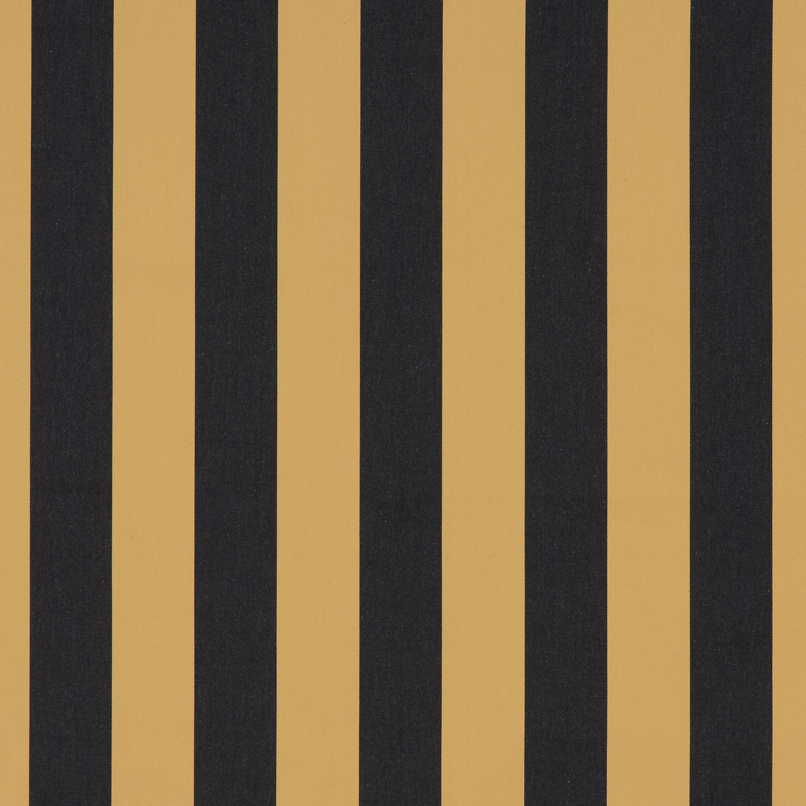 #color_jazz-OR-NOIR