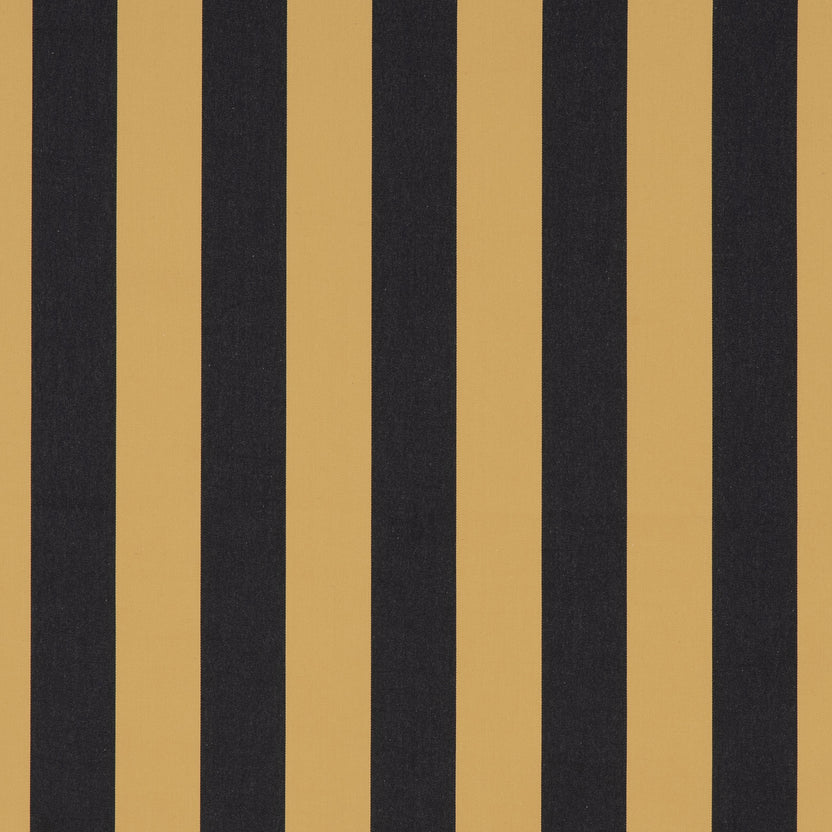 JAZZ – coloris Or noir