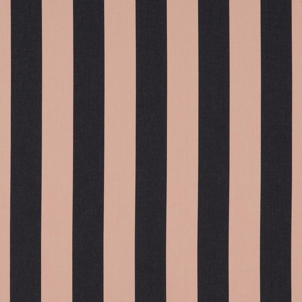 #color_jazz-THE-NOIR