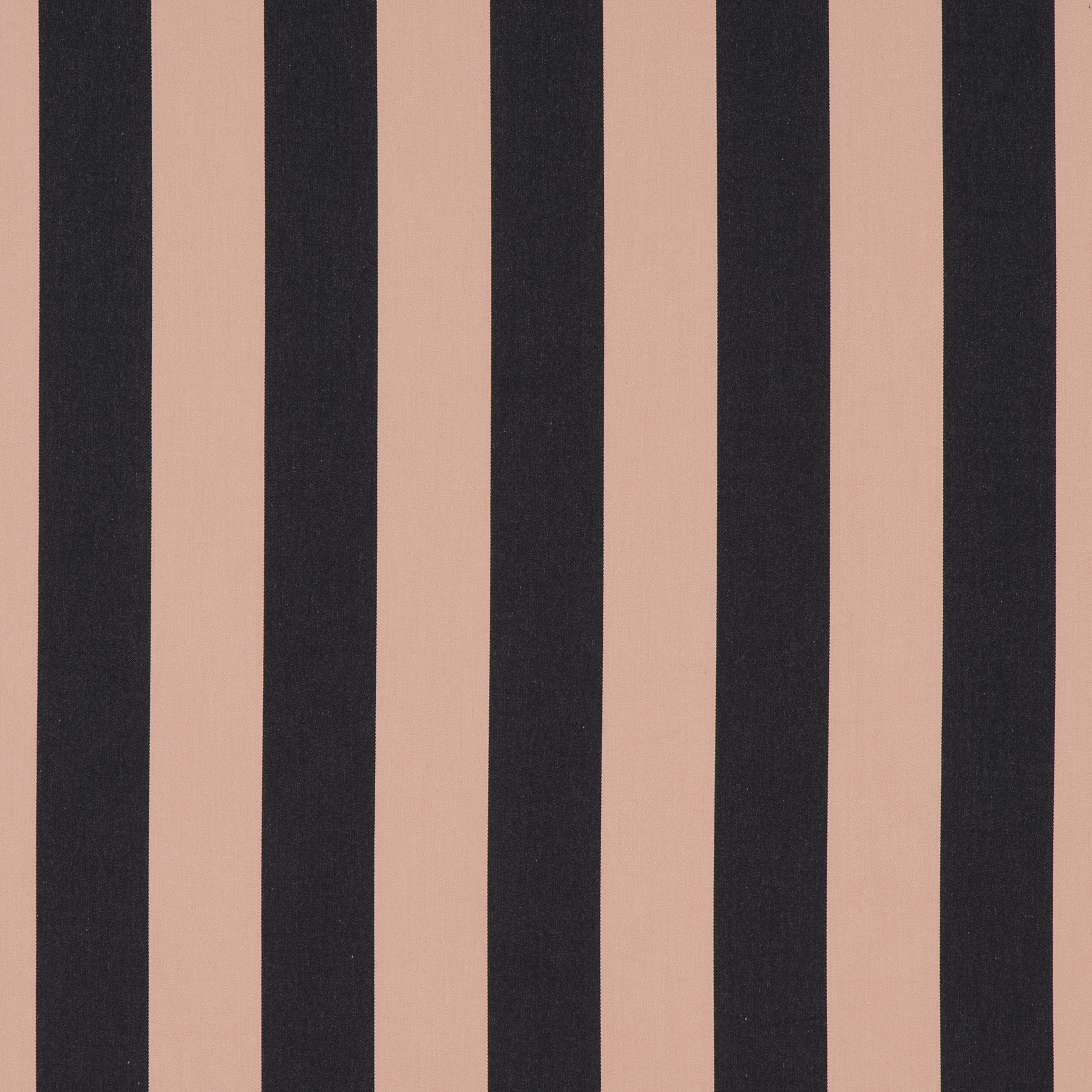 #color_jazz-THE-NOIR