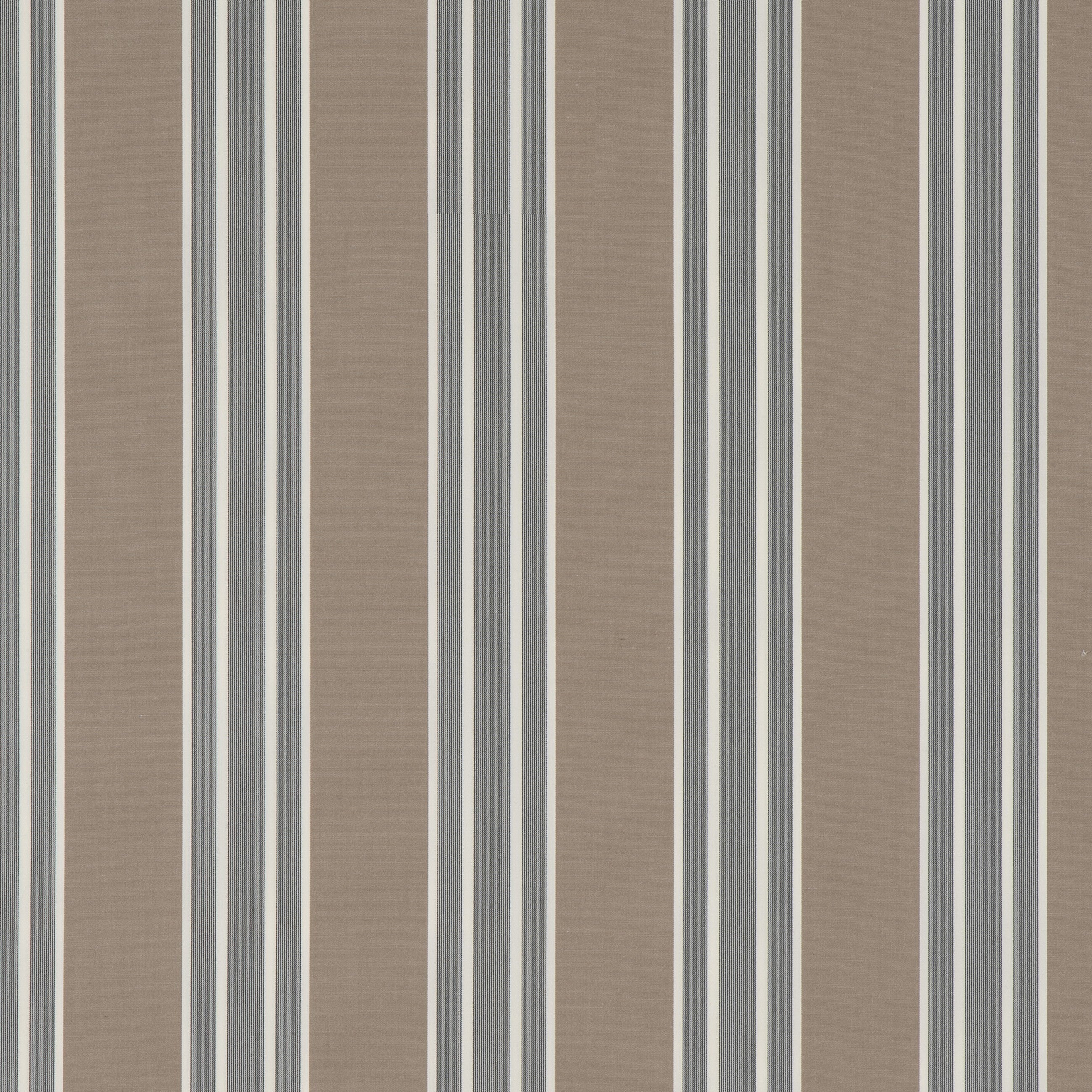 #color_marius-LINUM
