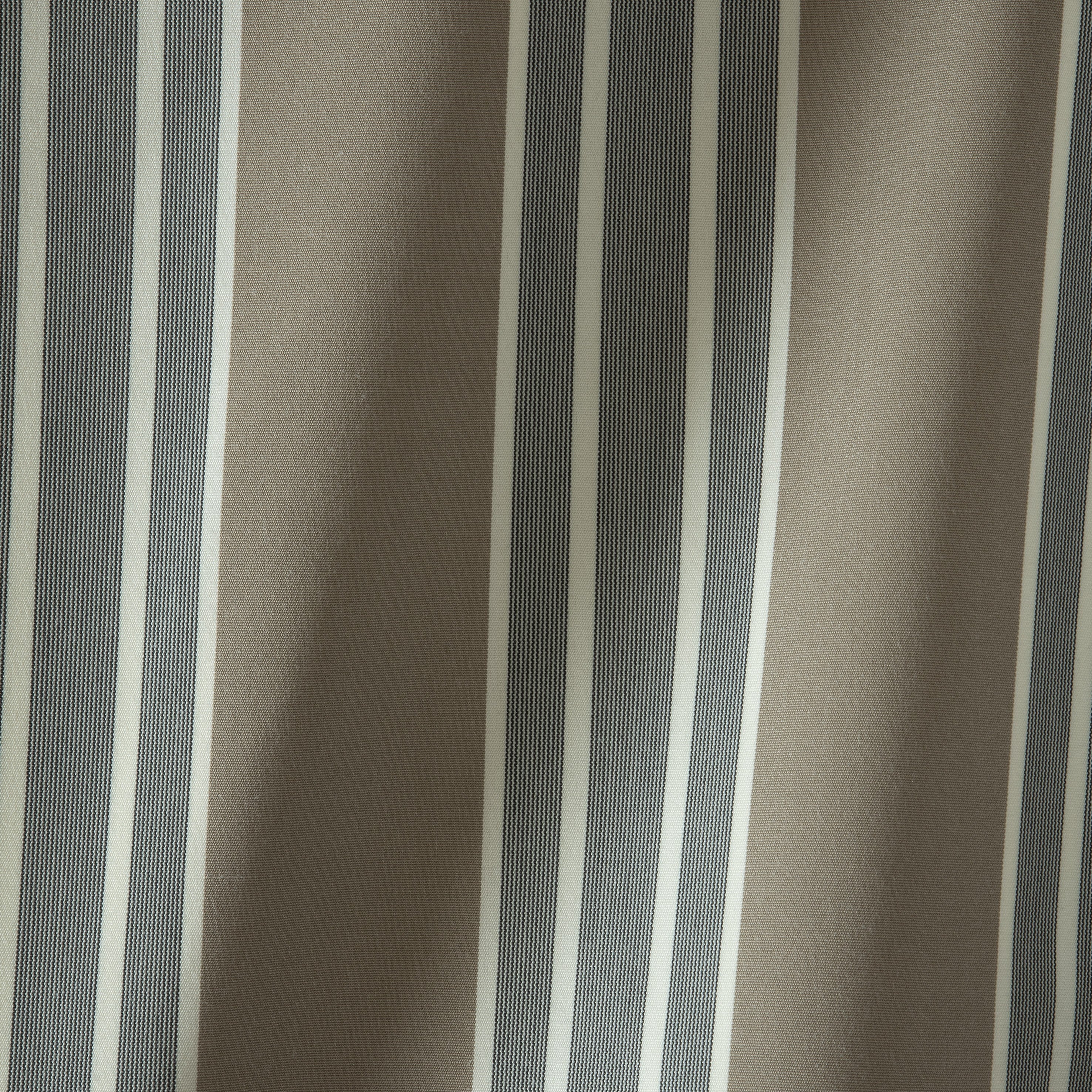 #color_marius-LINUM