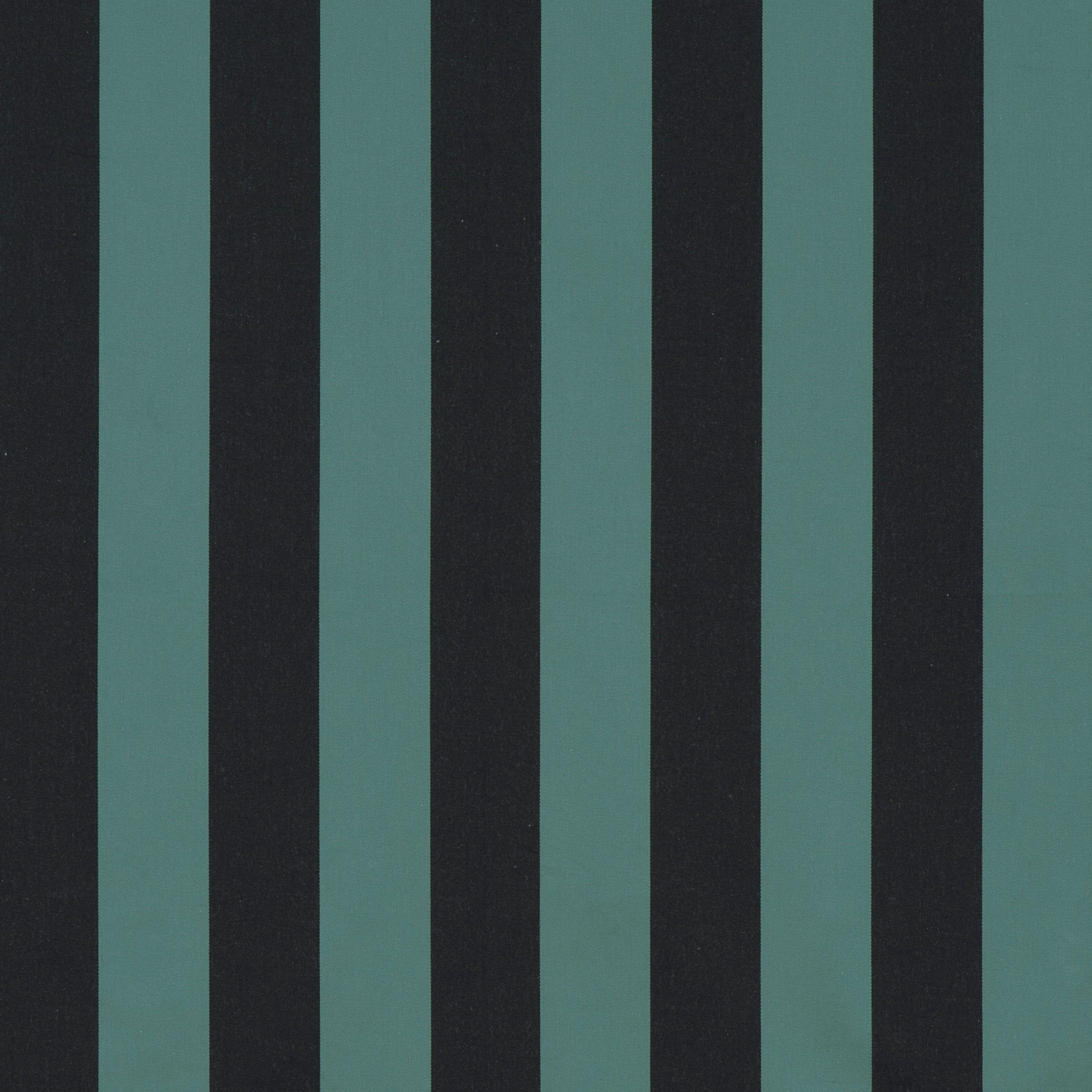 #color_jazz-EMPIRE