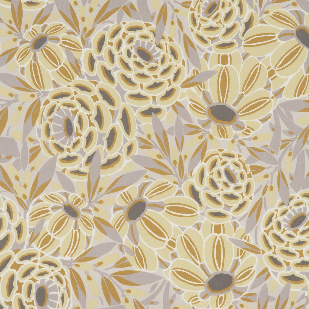 #color_stella-JAUNE_DE_NAPLES