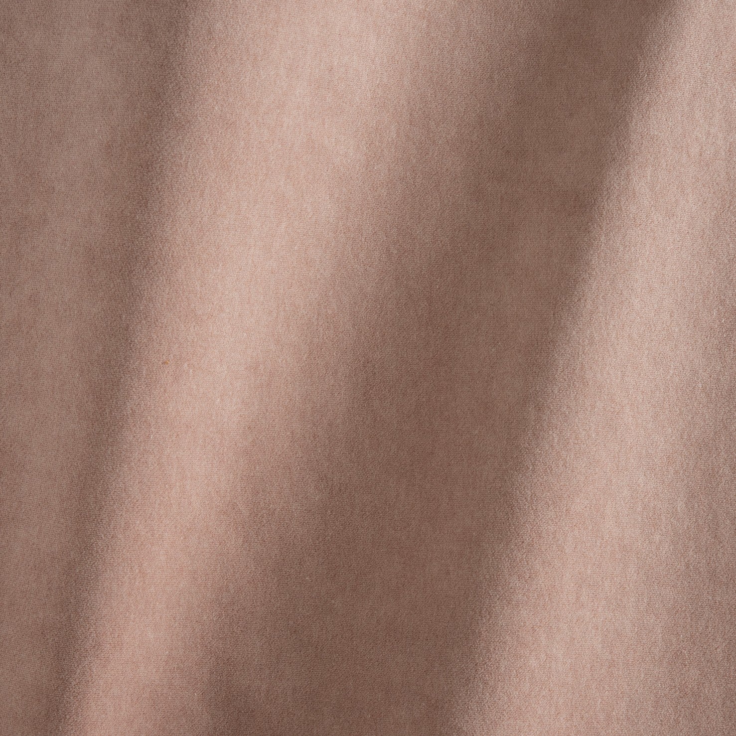 #color_azay-MAGNOLIA