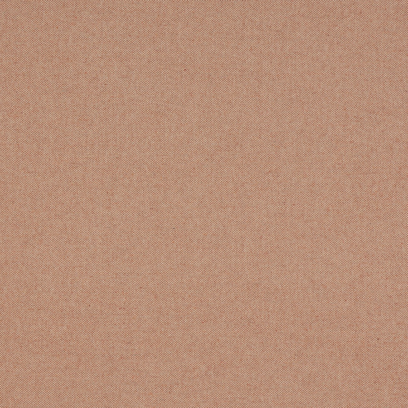 #color_eton-TOMETTE