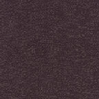 #color_mica-PRUNE