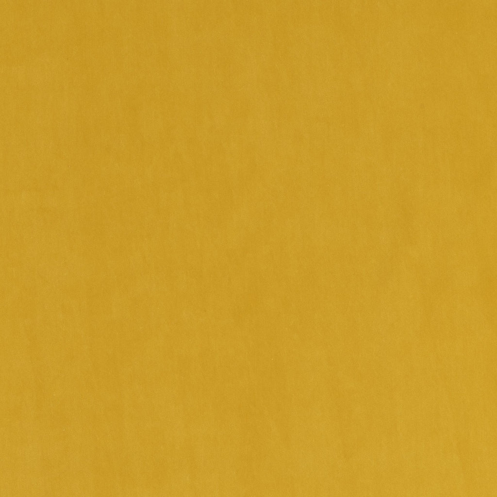 #color_vadim-TOURNESOL