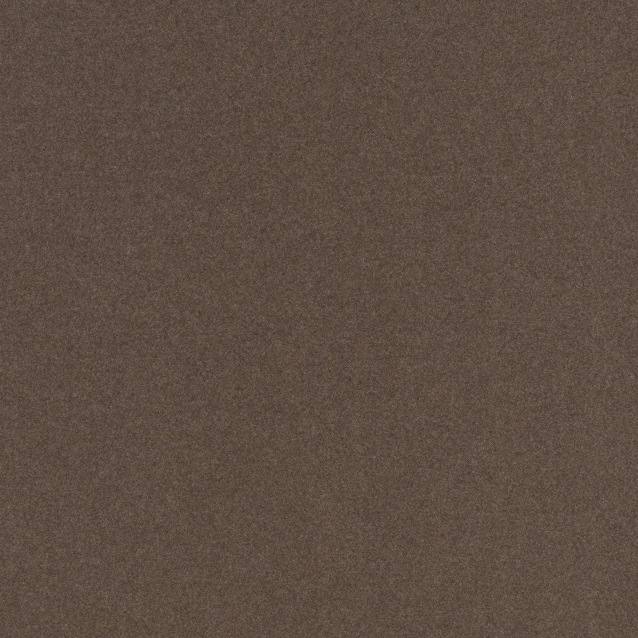 #coloris_grizzly