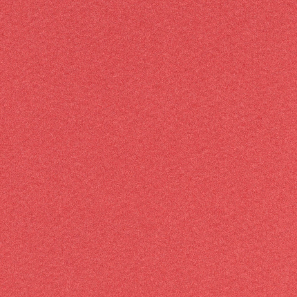 #color_edelweiss-PAIN_BRULE