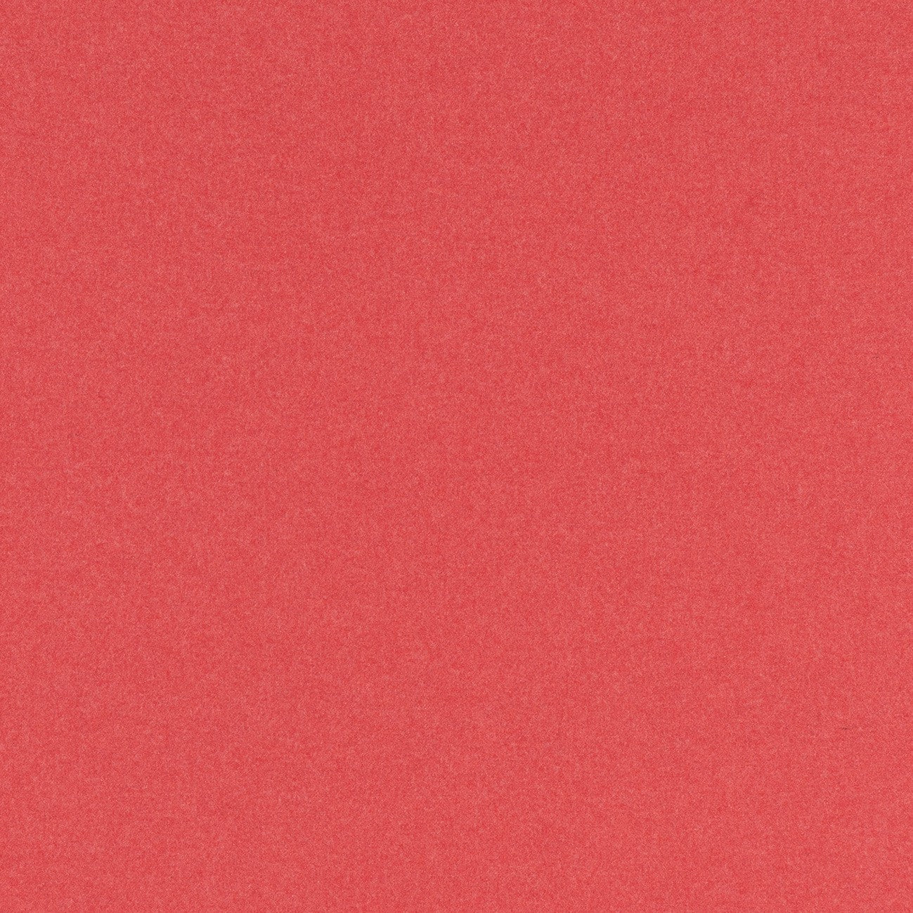 #color_edelweiss-PAIN_BRULE