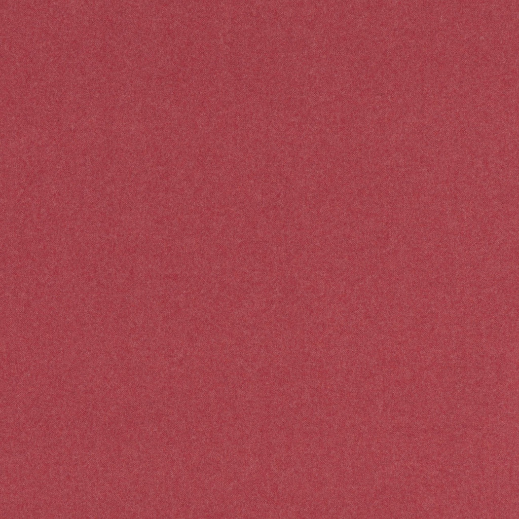 #color_edelweiss-GRIZZLY