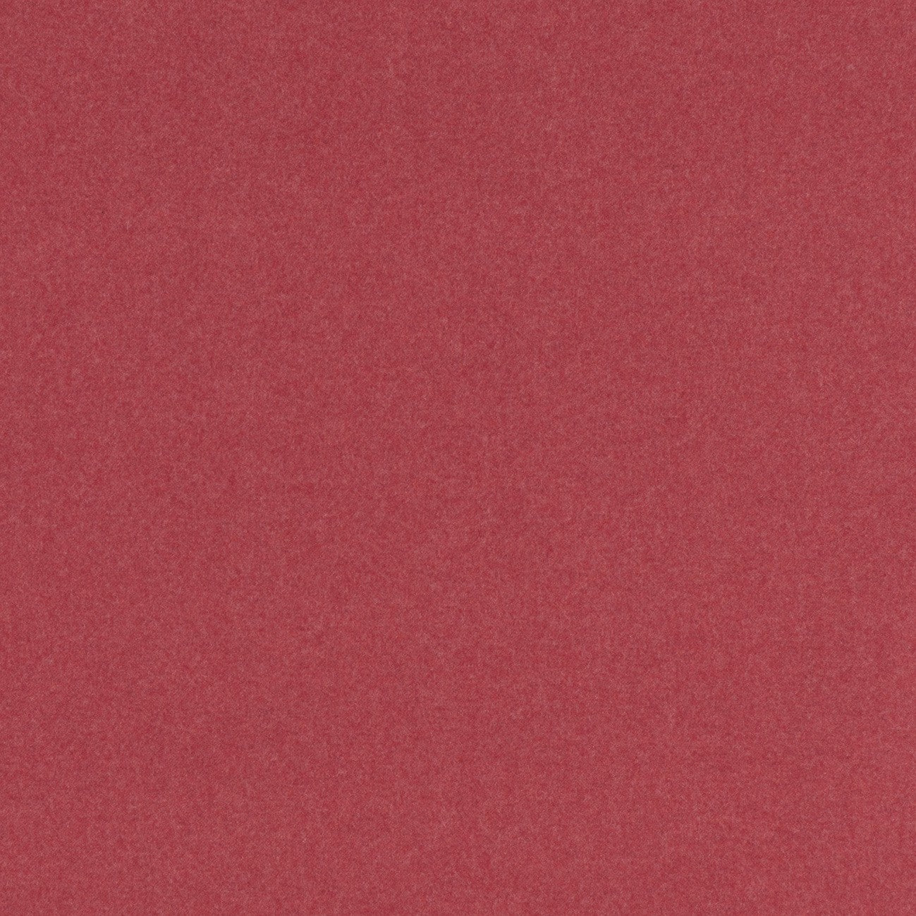 #color_edelweiss-GRIZZLY