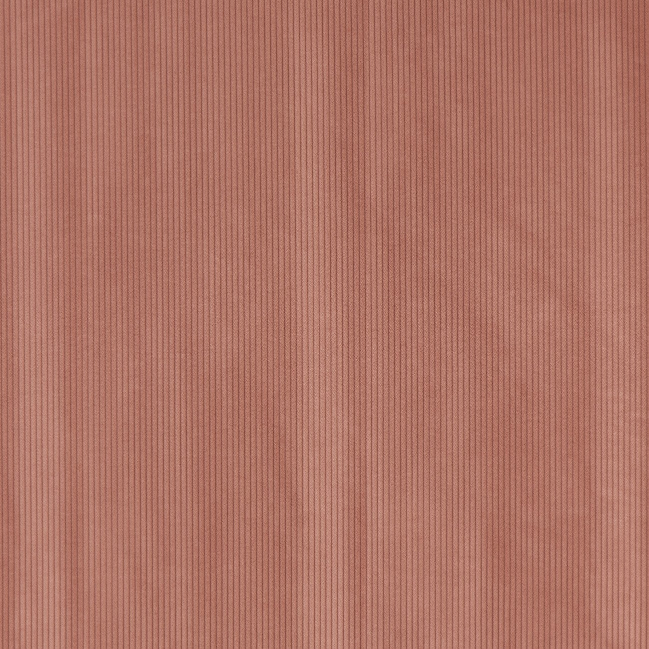 #color_corduroy-ROSE-PETALE